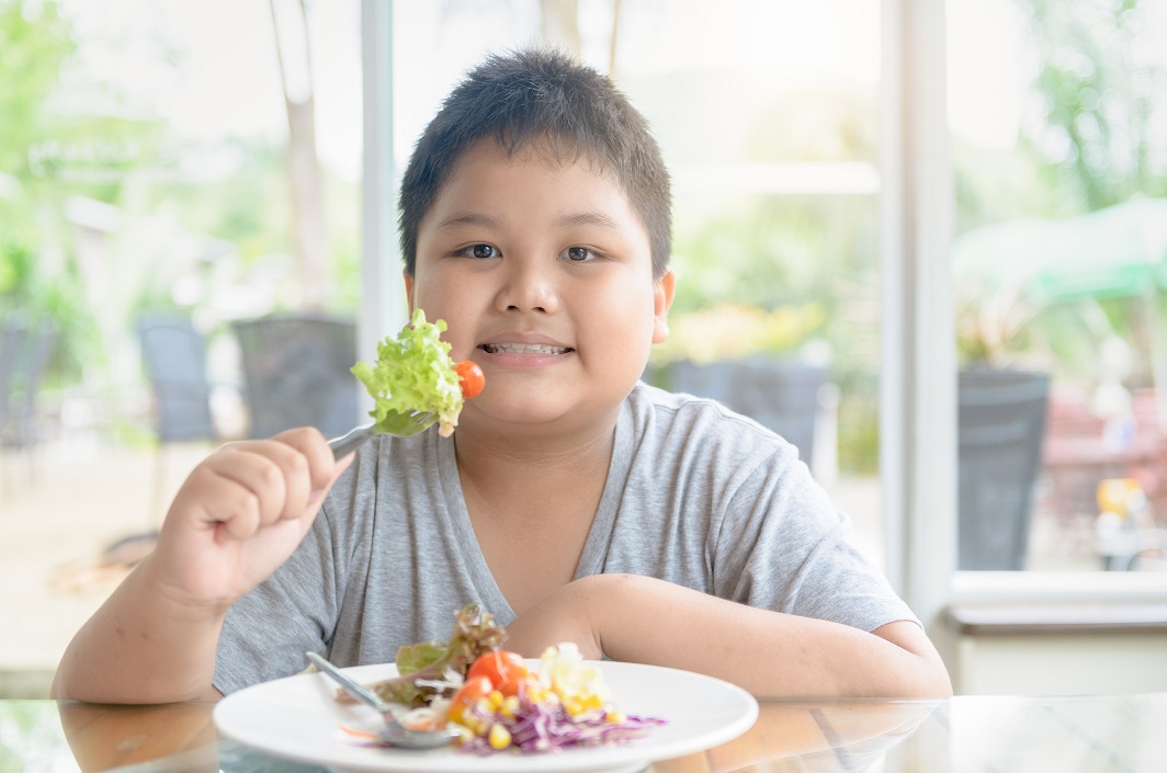 Healthy lifestyle program for kids Healthy lifestyle program for kids