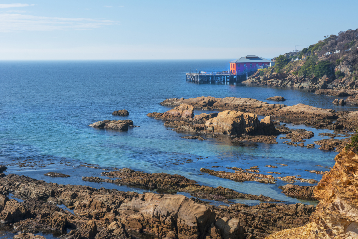 Tathra 1008702938