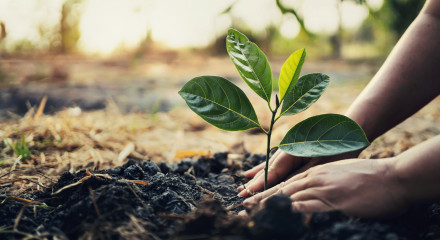 Reach out anytime - support is available