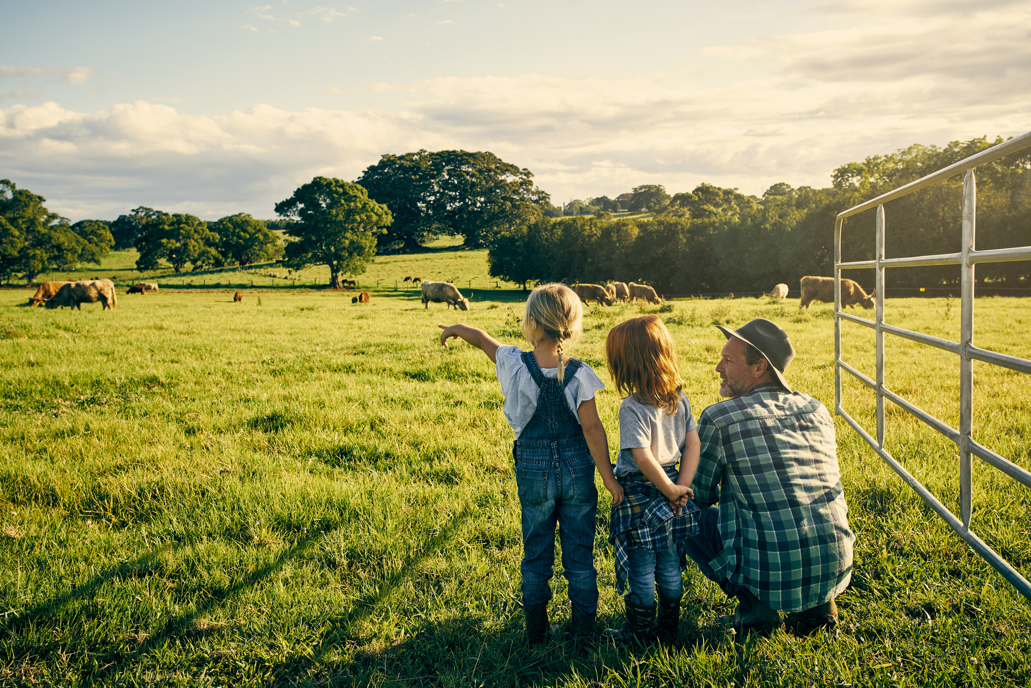 GP and primary health services in outer metropolitan, rural, and regional Australia GP and primary health services in outer metropolitan, rural, and regional Australia