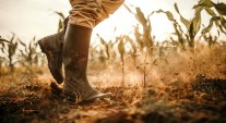 Drought-related stress resources Drought-related stress resources