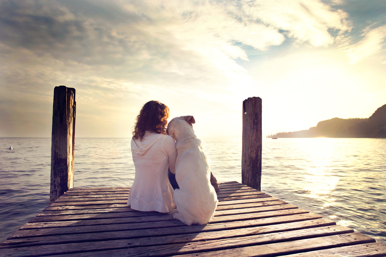 iStock 532556370