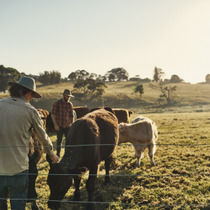 Survey of GP knowledge about zoonoses