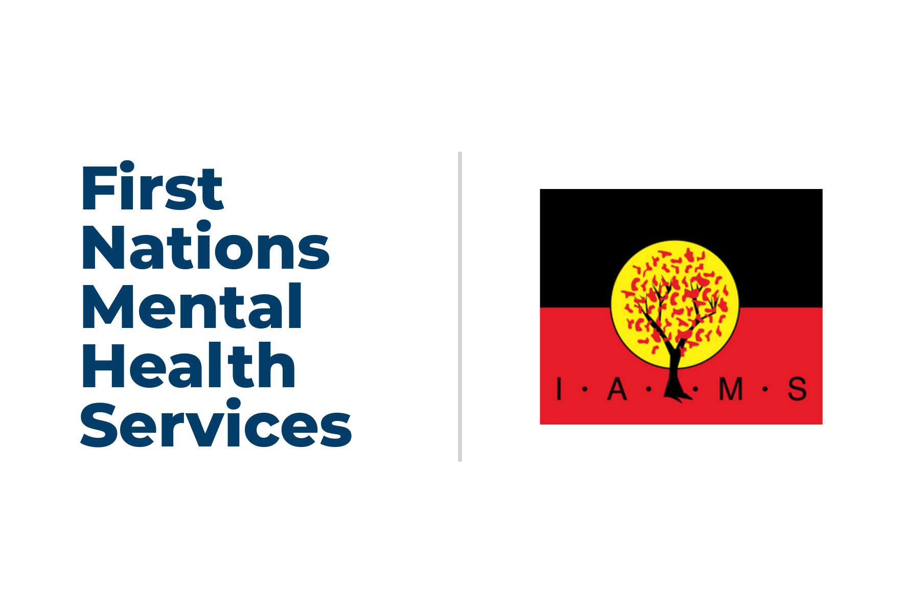 First Nations Mental Health Services - Illawarra Aboriginal Medical Service