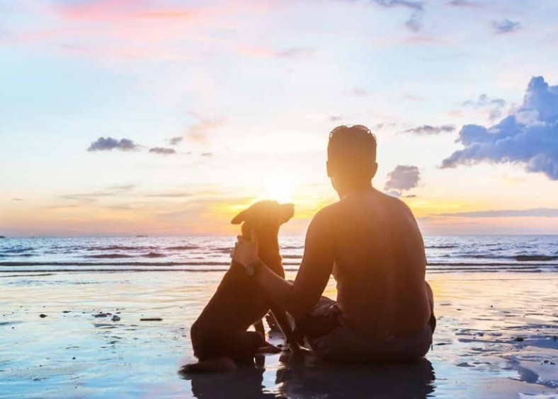 Man with dog sitting on beach at sunrise.