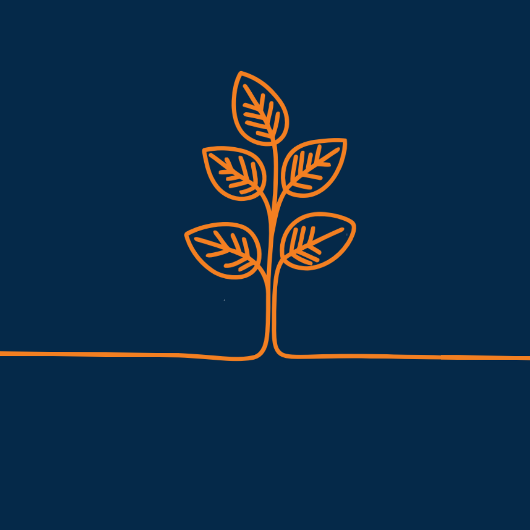 Plant grown icon