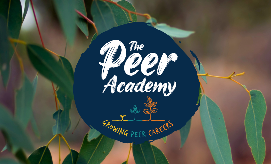 Peer Academy logo