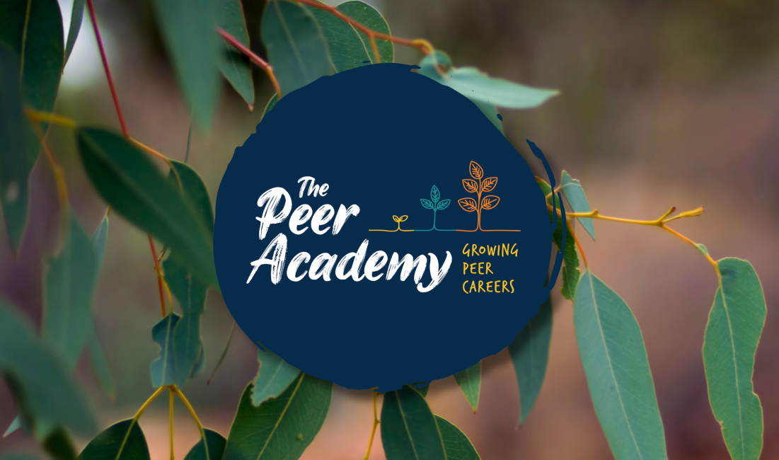Peer Academy logo