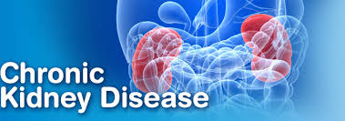 Illawarra, Shoalhaven named as a kidney disease hotspot Illawarra, Shoalhaven named as a kidney disease hotspot