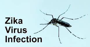Updated NSW Health Alert: Zika virus Updated NSW Health Alert: Zika virus