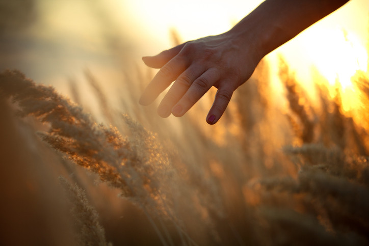 Hand in field.