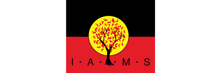 Illawarra Aboriginal Medical Service logo which shows a tree in front of the Aboriginal flag.