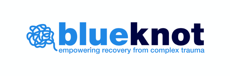 blue knot foundation logo